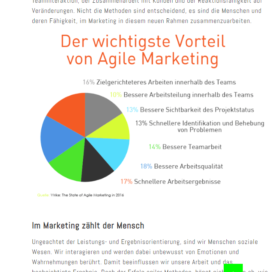 Agile Teams durch agile Transformation 08 2018 Expertin fuer kooperative Zusammenarbeit Ulrike Stahl