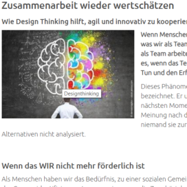 Designthinking vs Groupthinking estrategy-magazin.de 04 2019 Expertin fuer kooperative Zusammenarbeit Ulrike Stahl
