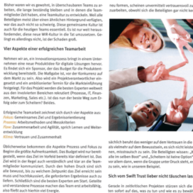 Teamwork und das neue WIR_SteineErden 2019_08 von Ulrike Stahl Teamentwicklung mit Insights Discovery