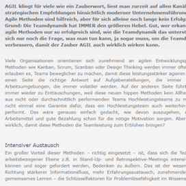 Warum Teamdynamik den groesseren Hebel besitzt 03 2018 hrm.ch Expertin fuer kooperative Zusammenarbeit Ulrike Stahl