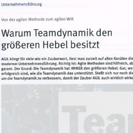 Warum Teamdynamik den groesseren Hebel besitzt Steine+Erden 04 2018 Expertin fuer das neue WIR Ulrike Stahl